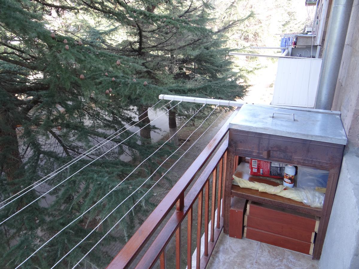 Dilijan Apartment エクステリア 写真